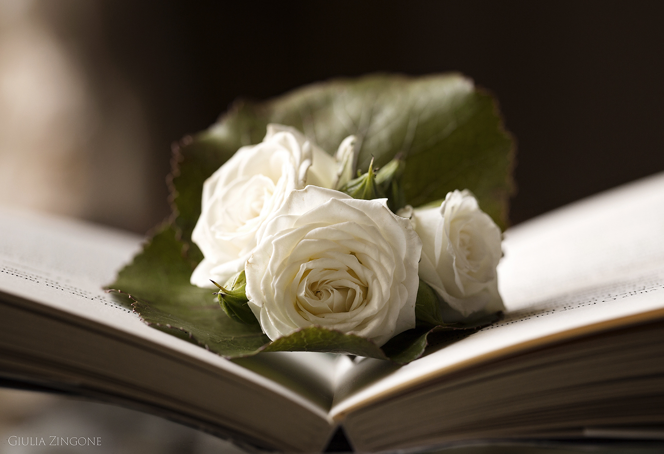 this is a picture of the groom preparations by villa erba cernobbio wedding photographer in lake como giulia zingone