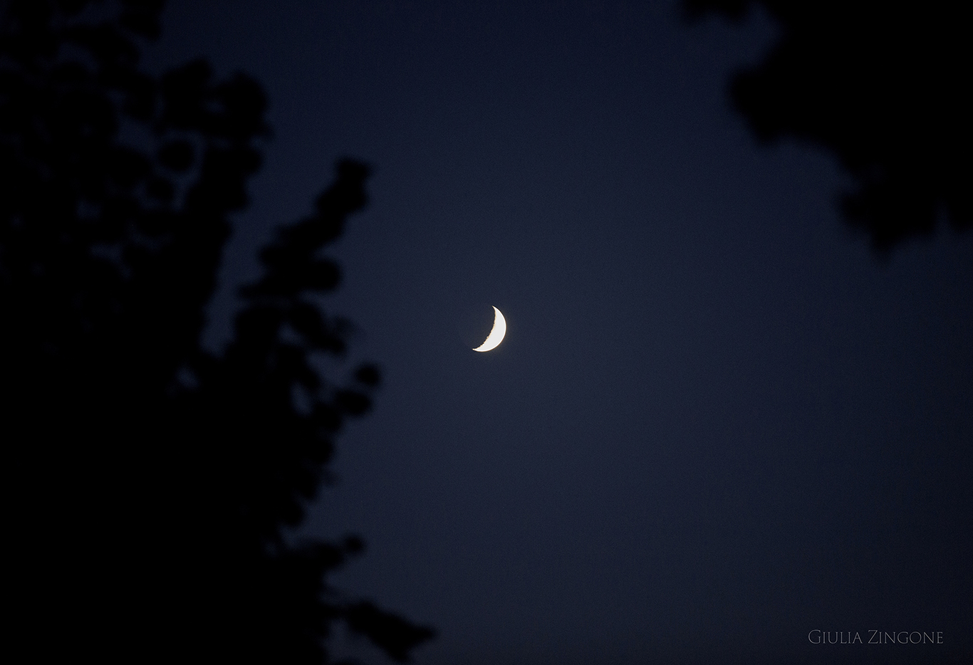 this is a picture by villa massari wedding photographer giulia zingone based in milan countryside